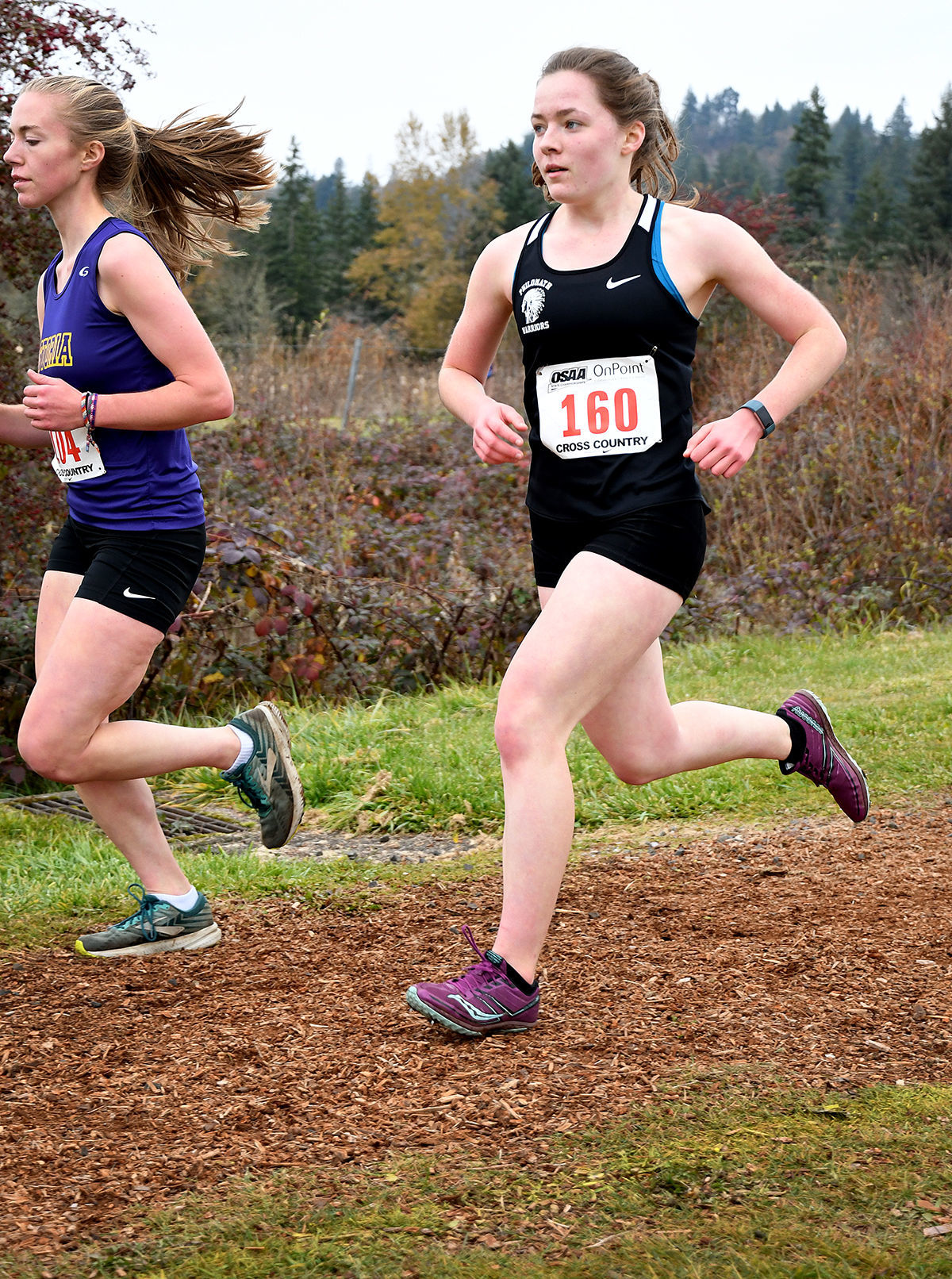 11-10-2019 4A Girls Cross Country 06.jpg